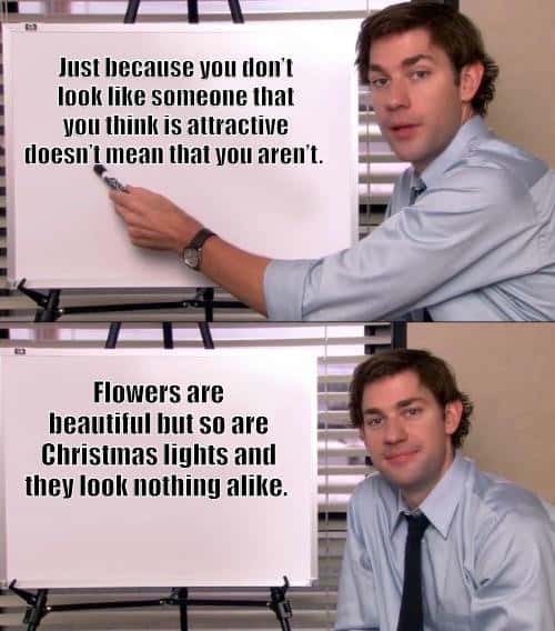 Jim halpert explains meme that you are attractive even if you look nothing alike