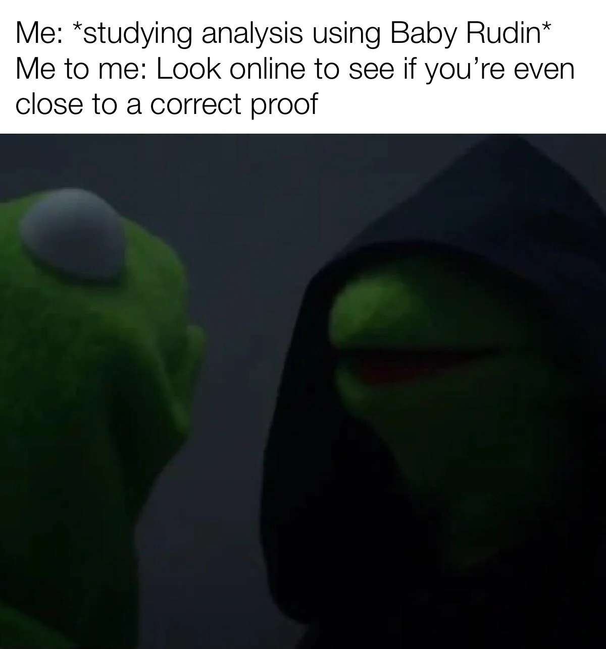 Evil kermit meme about studying baby rudin analysis