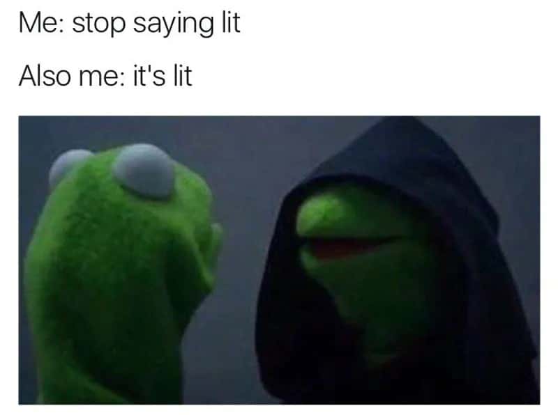 Evil kermit meme saying stop saying lit then it's lit