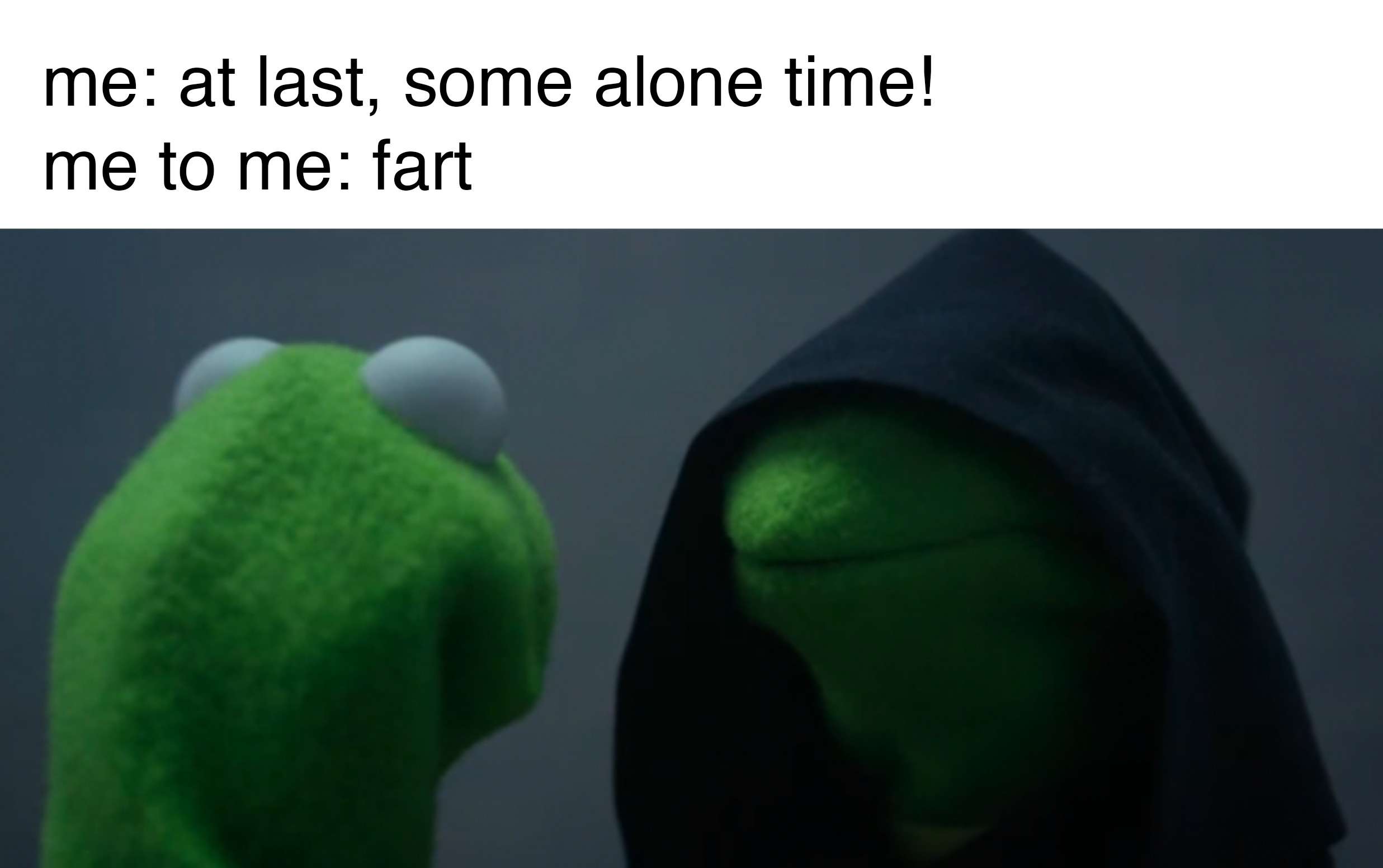 Evil kermit meme talking to self during alone time