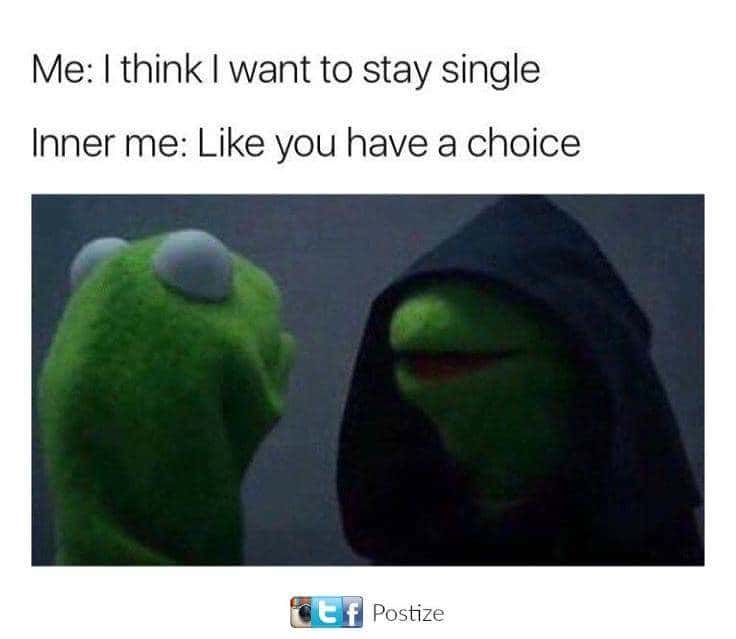 Evil kermit meme staying single like you have no choice