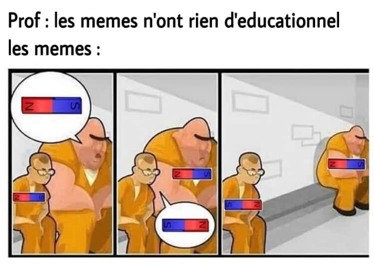 les memes n'ont rien d'educationnel