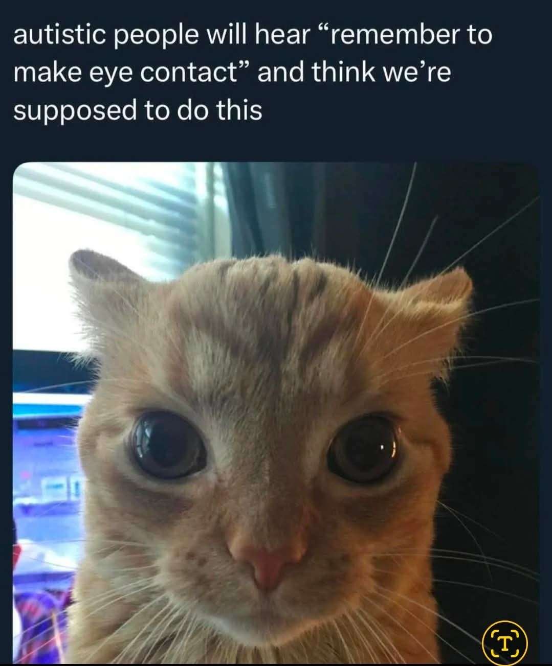 autistic people will hear "remember to make eye contact" and think we're supposed to do this