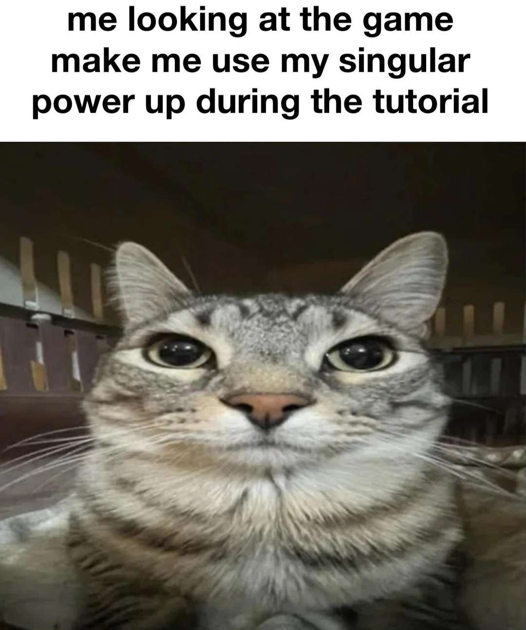 me looking at the game make me use my singular power up during the tutorial