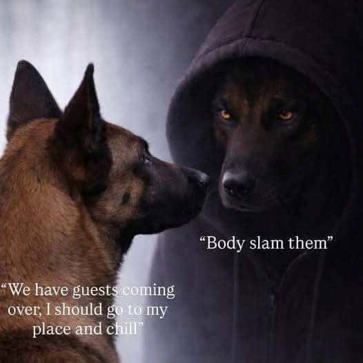 "We have guests coming over, I should go to my place and chill" / “Body slam them”