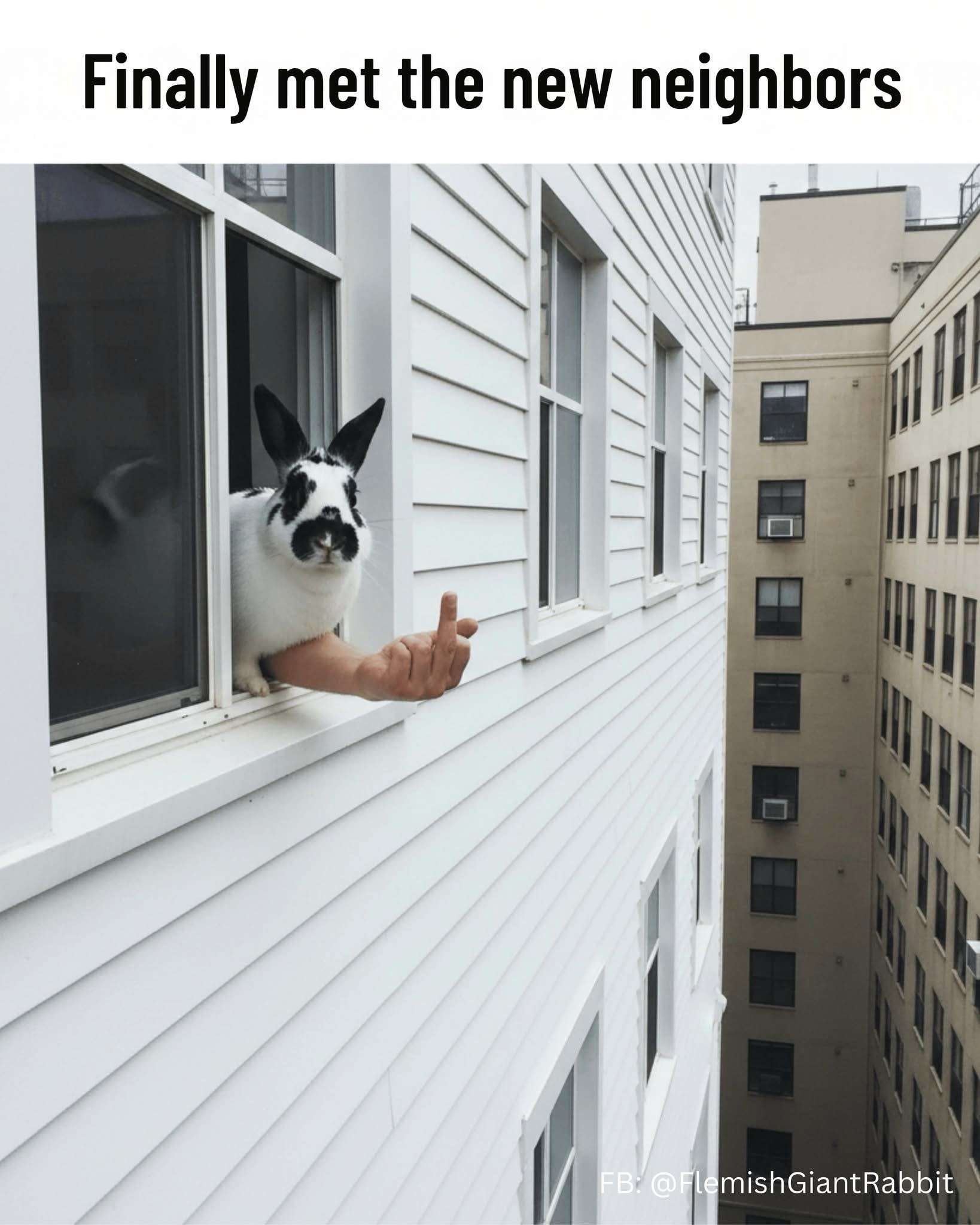 Finally met the new neighbors