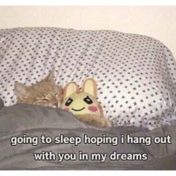 going to sleep hoping i hang out with you in my dreams