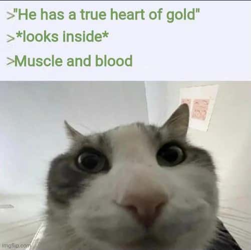 >"He has a true heart of gold" >*looks inside* >Muscle and blood