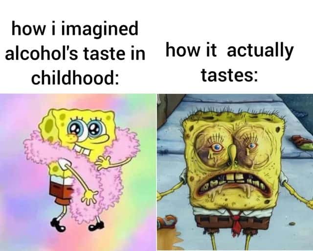 how i imagined alcohol's taste in childhood: / how it actually tastes
