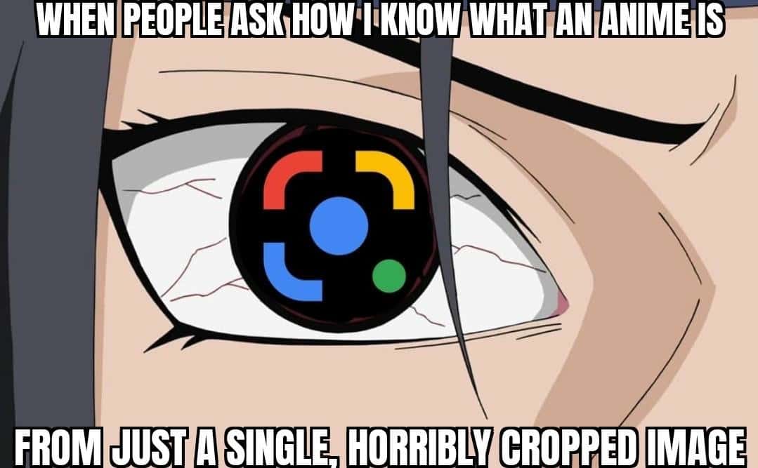 When People Ask How I Know Anime From Cropped Image Meme