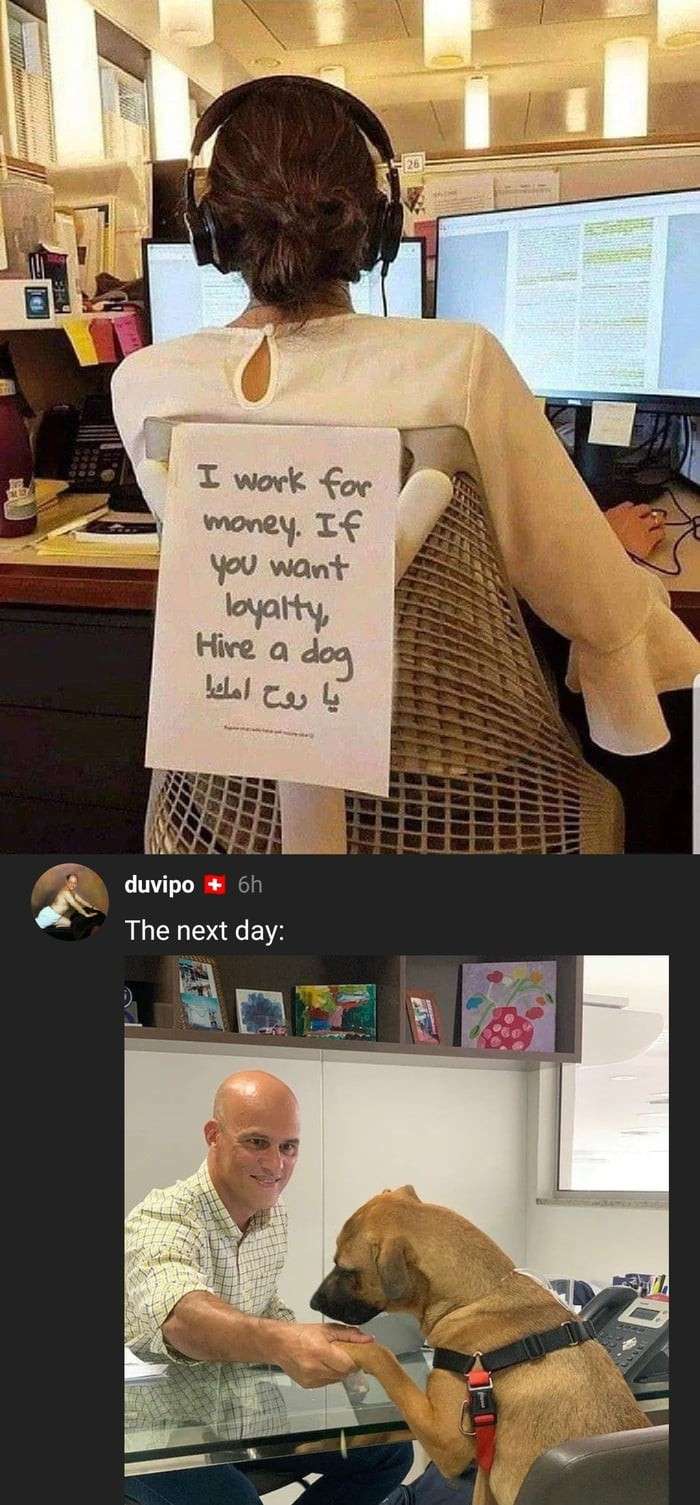 I work for money. If you want loyalty, Hire a dog