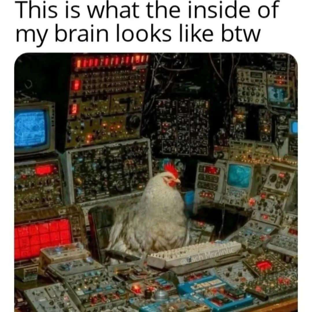 This is what the inside of my brain looks like btw