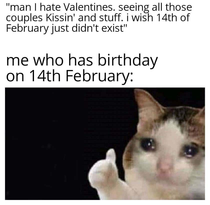 "man I hate Valentines. seeing all those couples Kissin' and stuff. i wish 14th of February just didn't exist" / me who has birthday on 14th February