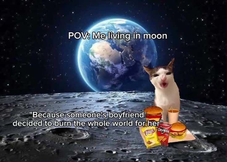 POV: Me living in moon " / Because someone's boyfriend decided to burn the whole world for her SDomn