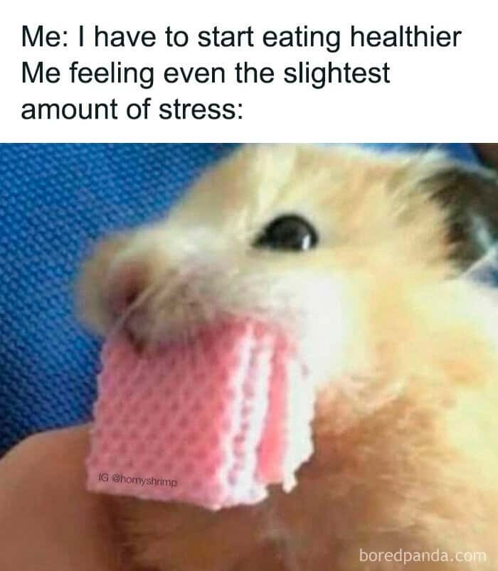 Me: I have to start eating healthier Me feeling even the slightest amount of stress