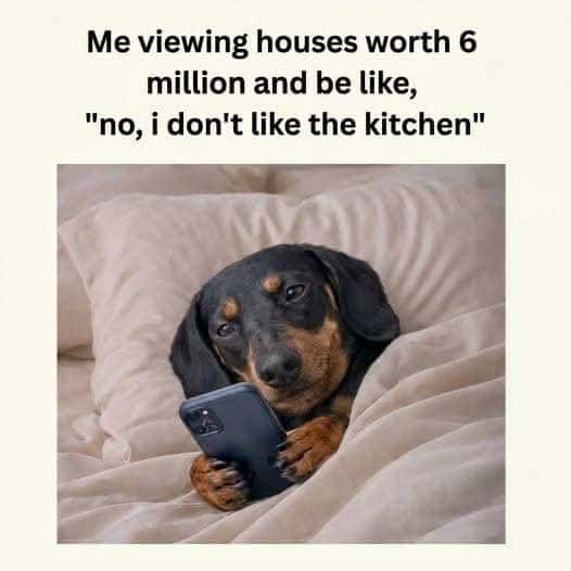 Me viewing houses worth 6 million and be like, "no, i don't like the kitchen"