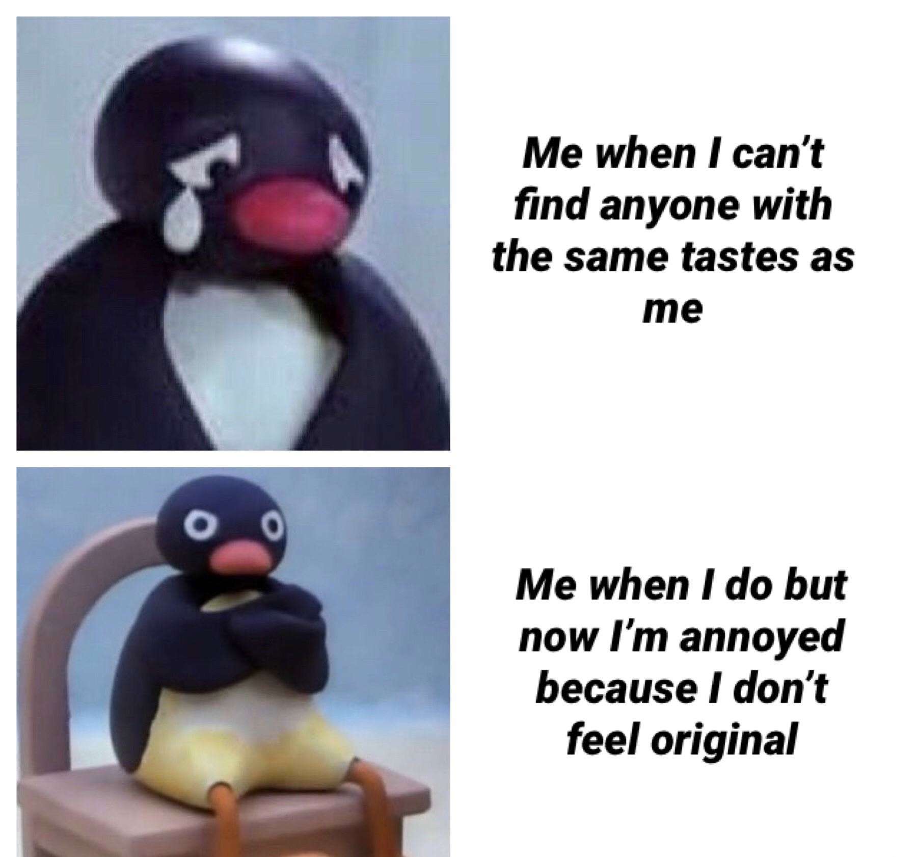 Me when I can't find anyone with the same tastes as me / Me when I do but now I'm annoyed because I don't feel original