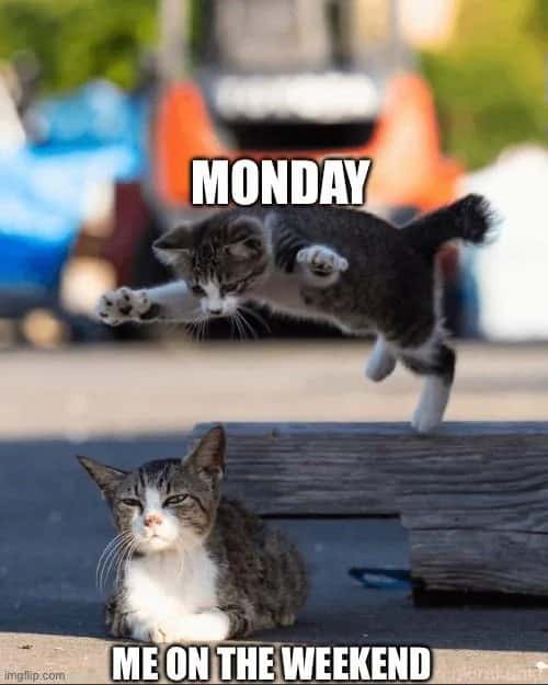Monday vs me on the weekend