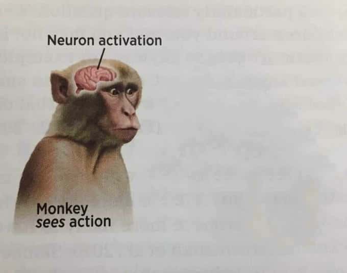 19 Neuron Activation Memes to Trigger Your Instant Dopamine Rush