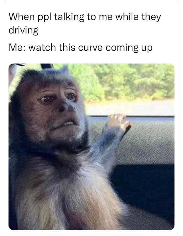 When ppl talking to me while they driving / Me: watch this curve coming up