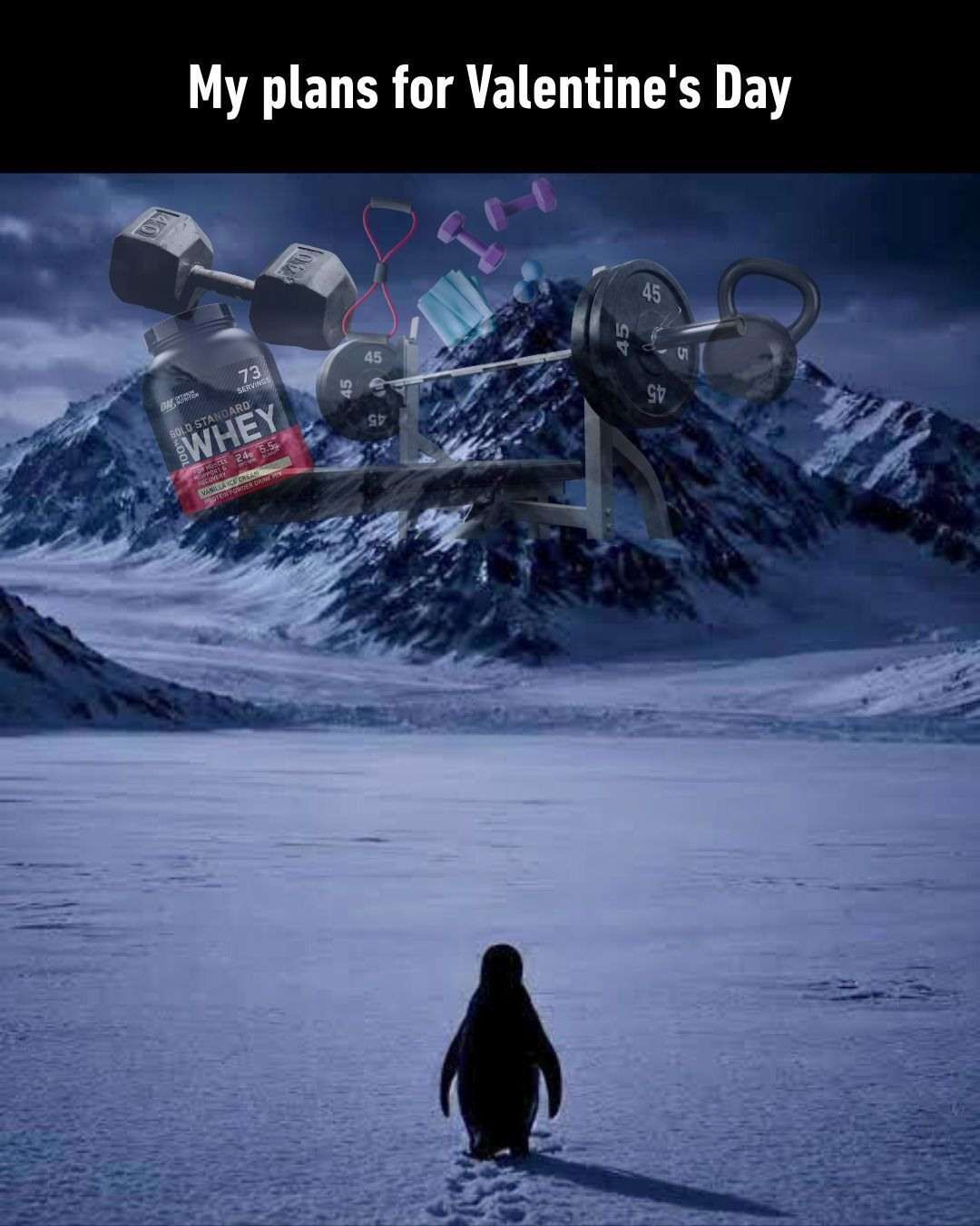 My plans for Valentine's Day meme