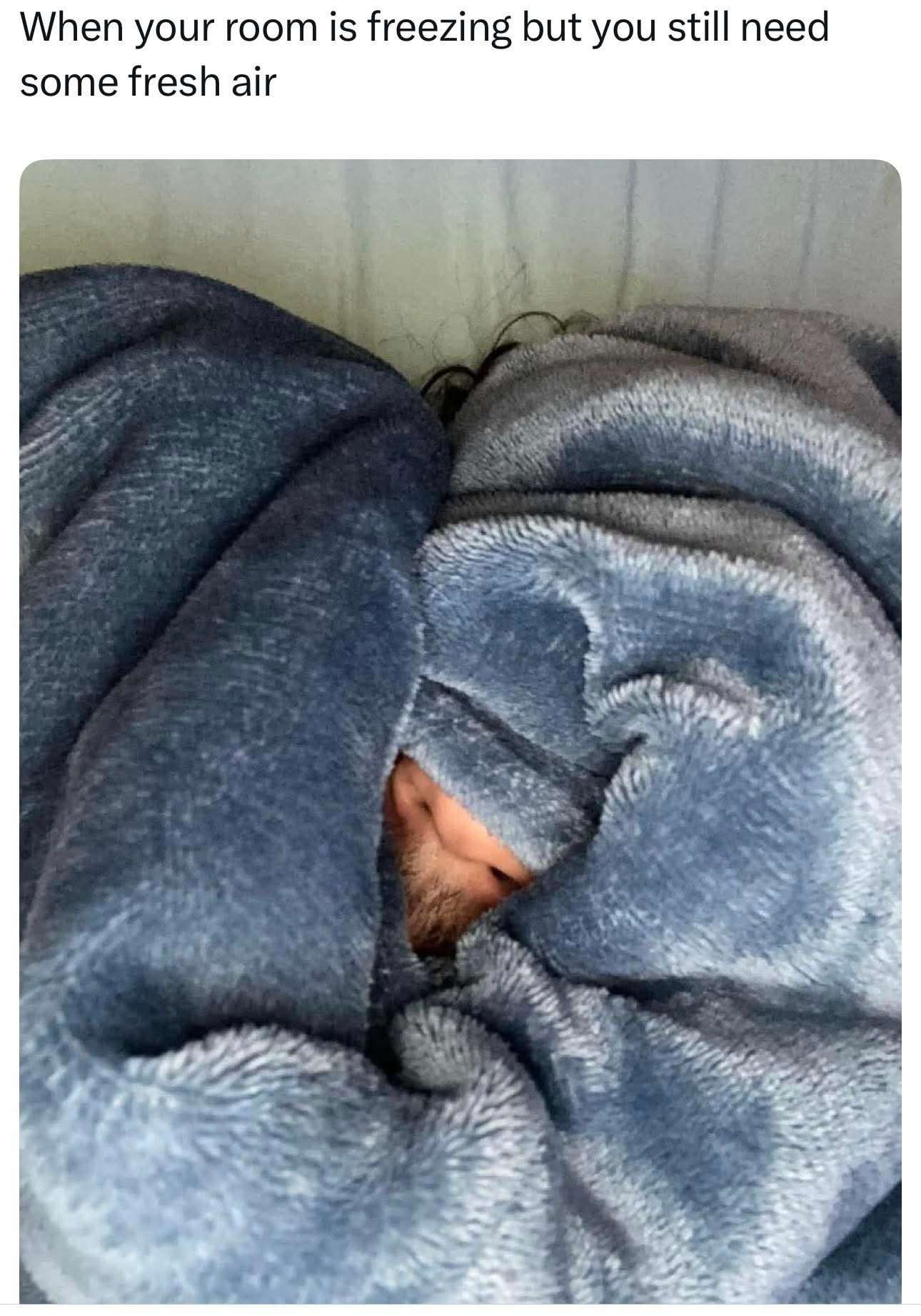 When your room is freezing but you still need some fresh air
