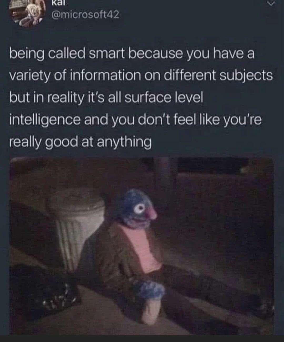 being called smart because you have a variety of information on different subjects but in reality it's all surface level intelligence and you don't feel like you're really good at anything