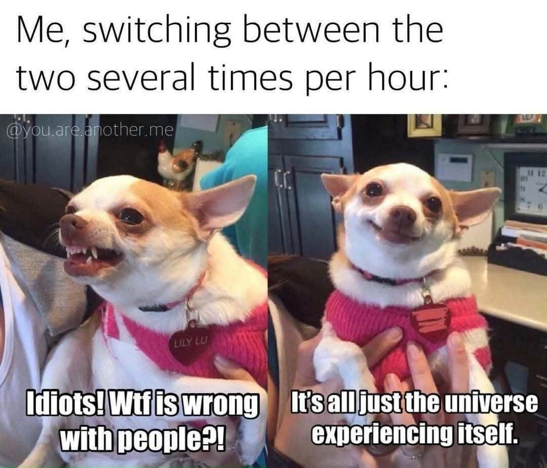 Me, switching between the two several times per hour: Idiots! Wtf is wrong with people?! / It's all just the universe experiencing itself.