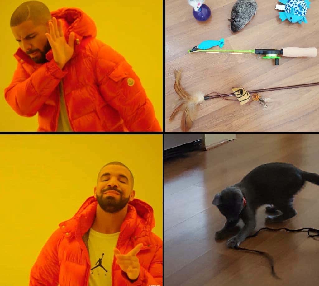 Nah yes drake meme cat ignores toys chases string