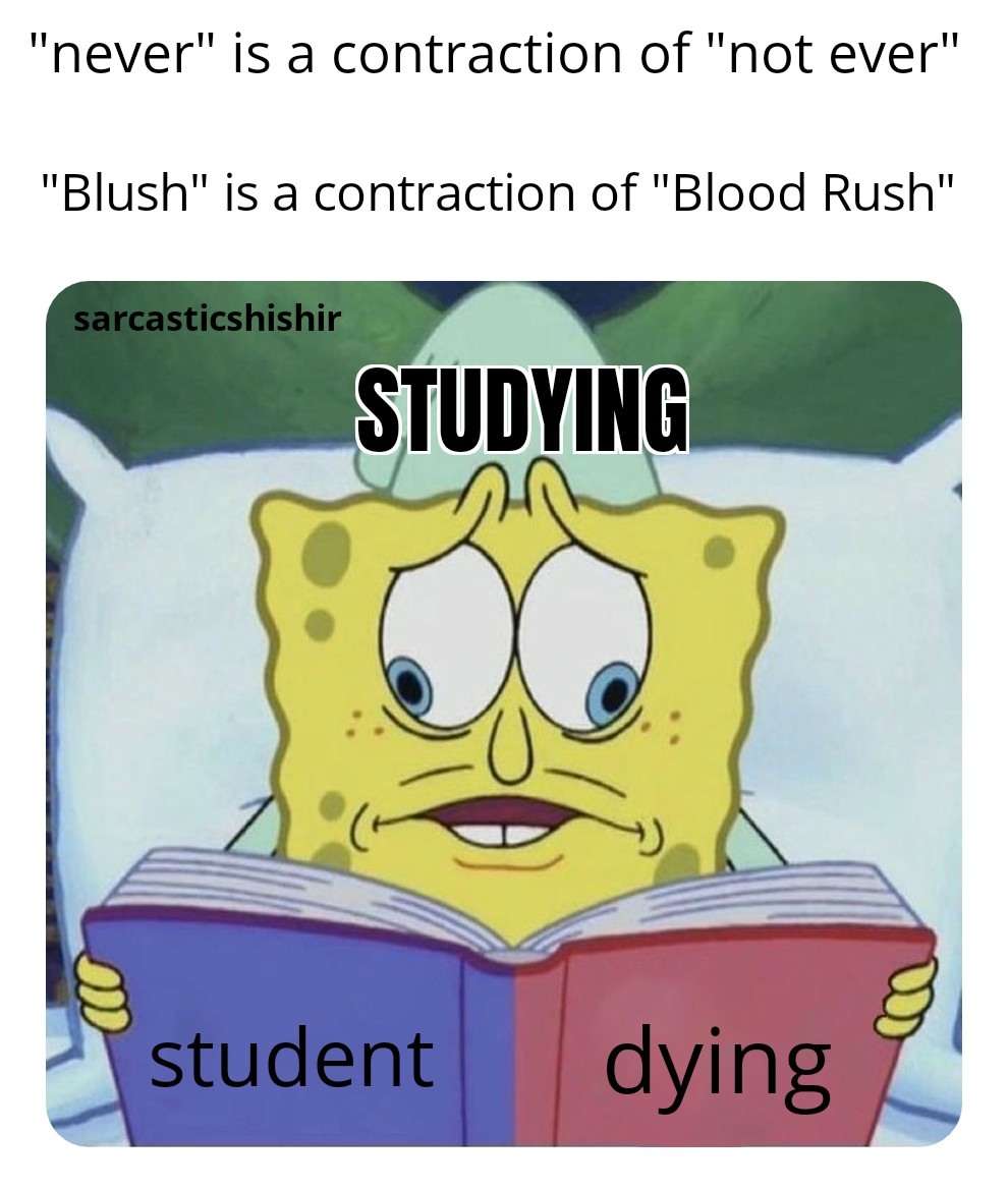 The SpongeBob Cross Eyed meme studying like a dying student