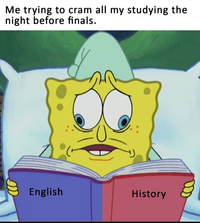 The SpongeBob Cross Eyed meme cramming finals at night