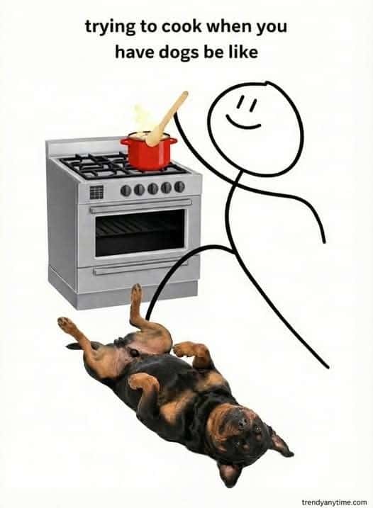 trying to cook when you have dogs be like