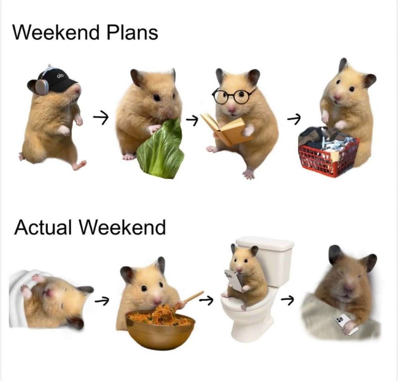 Weekend plans and actual weekend