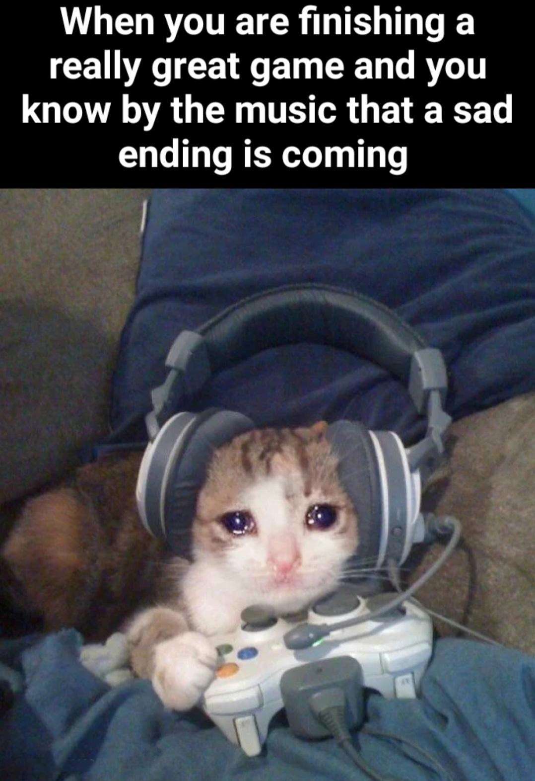 When you are finishing a really great game and you know by the music that a sad ending is coming