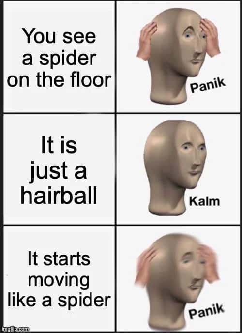 You see a spider on the floor Panik It is just a hairball Kalm It starts moving like a spider Panik