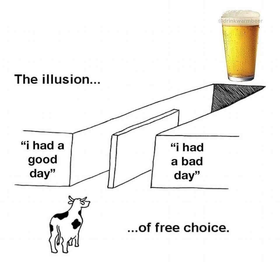 Illusion of choice meme good day or bad day beer