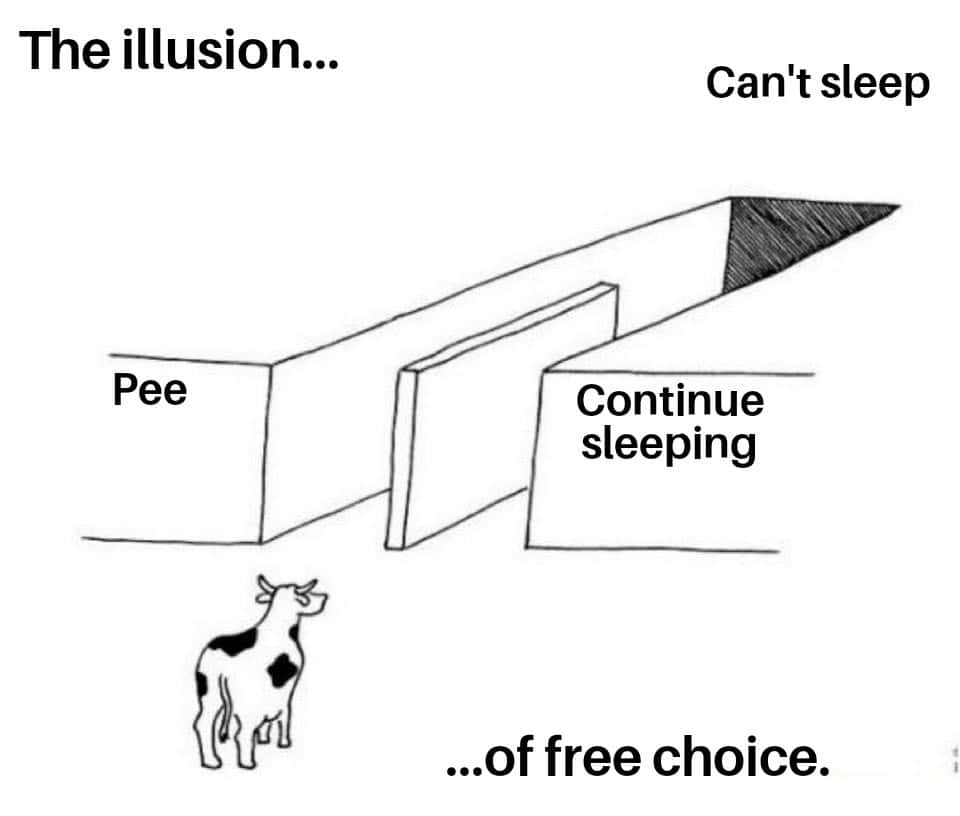 Illusion of choice meme can't sleep pee or keep sleeping