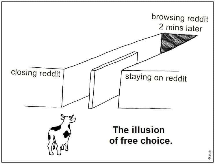 Illusion of Choice meme closing Reddit, back in 2 mins