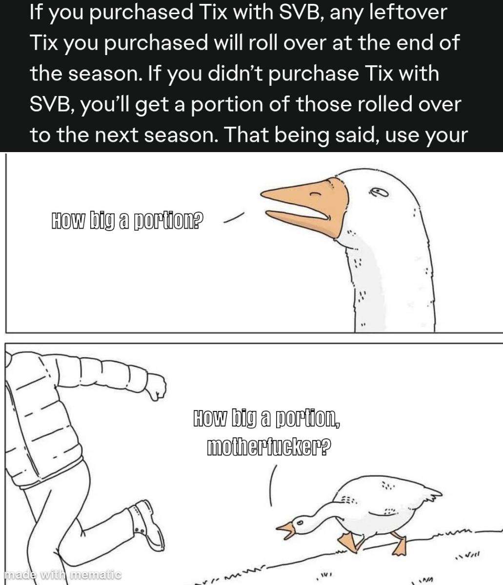 Goose Chasing Guy meme asking how big a portion