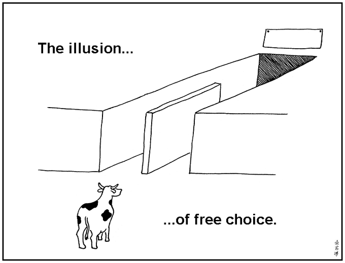 Illusion of Choice meme template