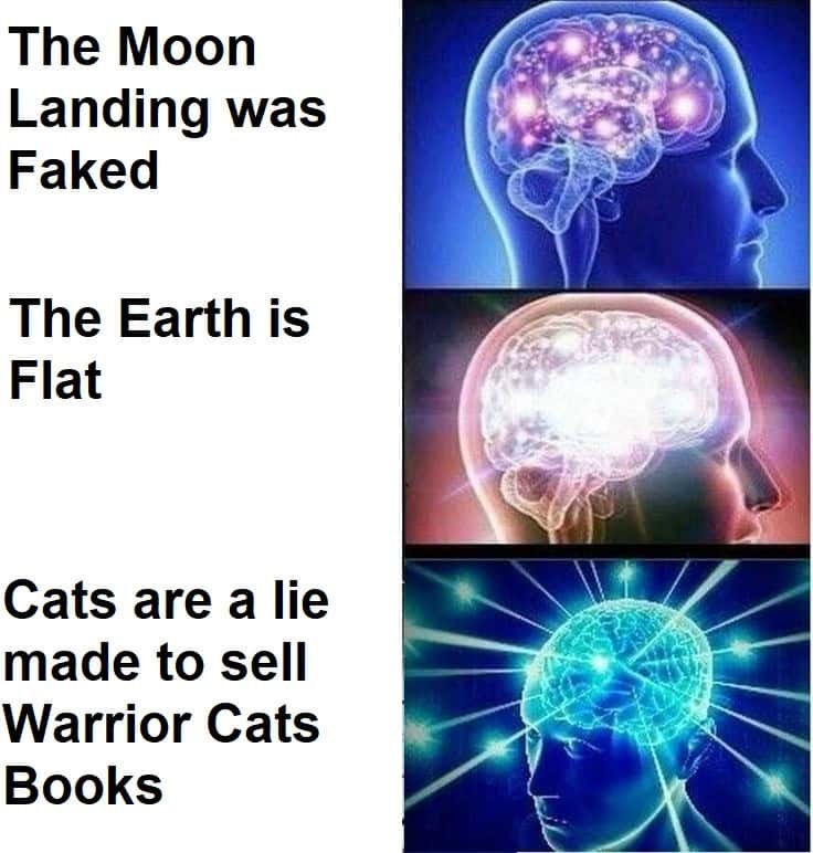 Expanding brain meme absurd conspiracy theories about cats
