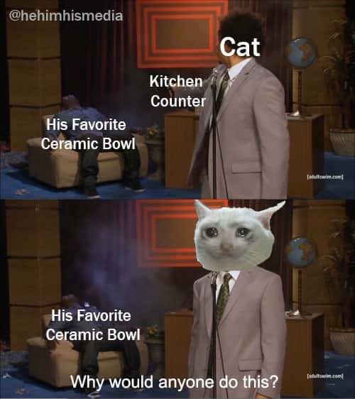 Who Killed Hannibal meme cat breaks bowl acts innocent Who Killed Hannibal meme cat breaks bowl acts innocent
