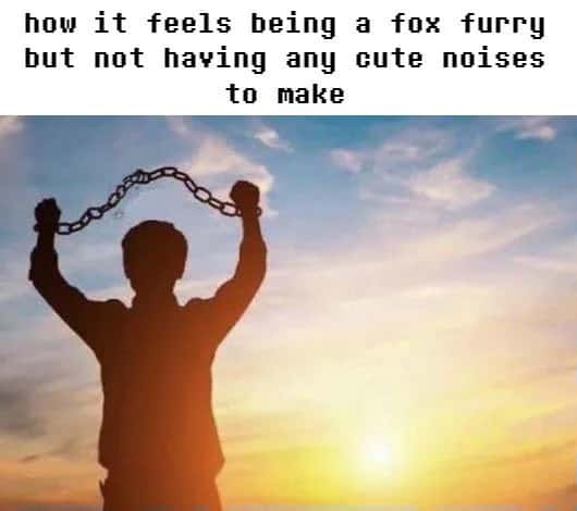 Man breaking chains meme fox furry no cute noises