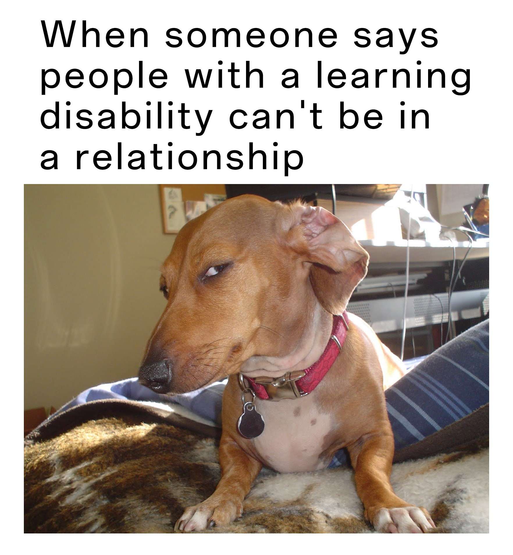 Suspicious Dog meme reacts to relationship ableism