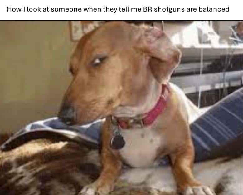 Suspicious Dog meme side eye when BR shotguns seem balanced