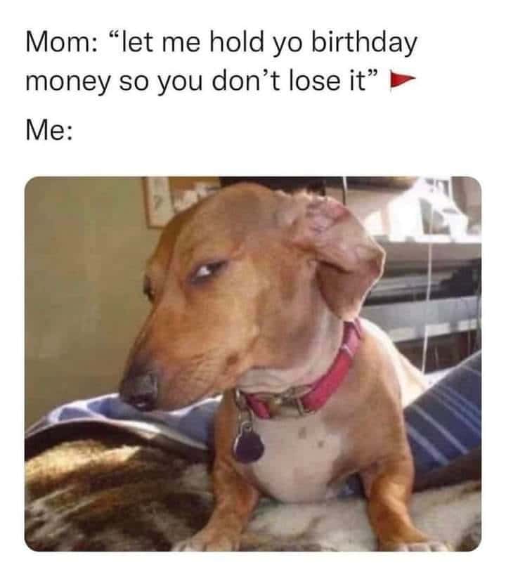 Suspicious Dog meme when mom holds birthday money