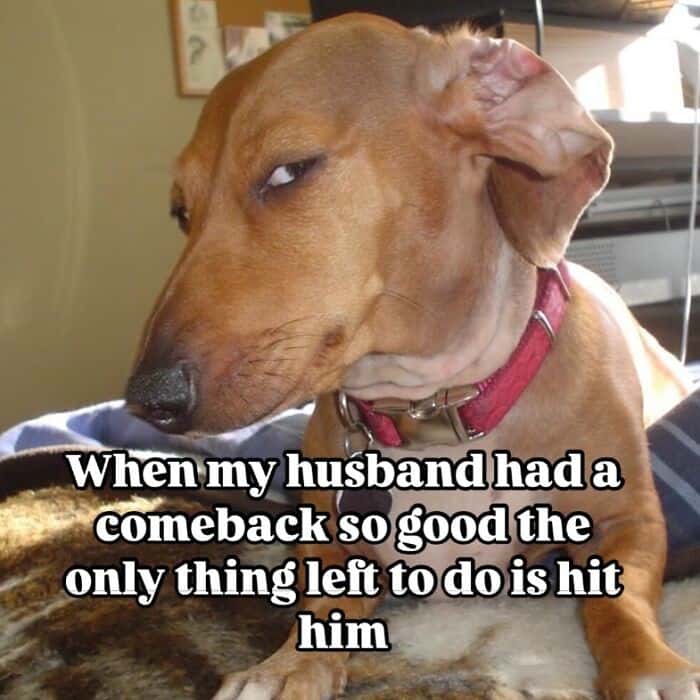 Suspicious Dog Meme Ready To Hit Him After Comeback