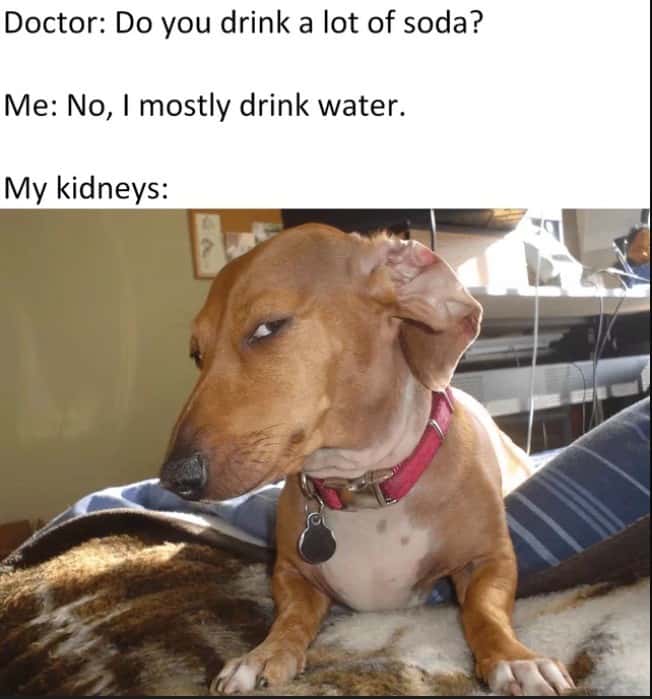 Suspicious Dog meme giving side eye after saying mostly drink water