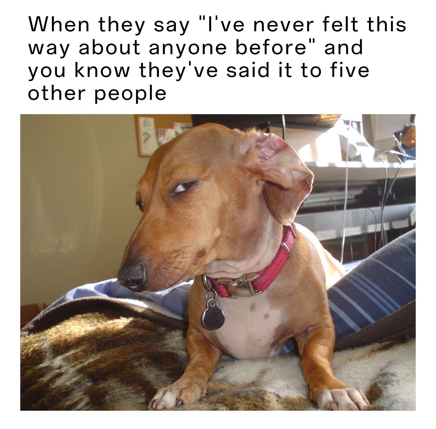 Suspicious Dog meme hearing i've never felt this before