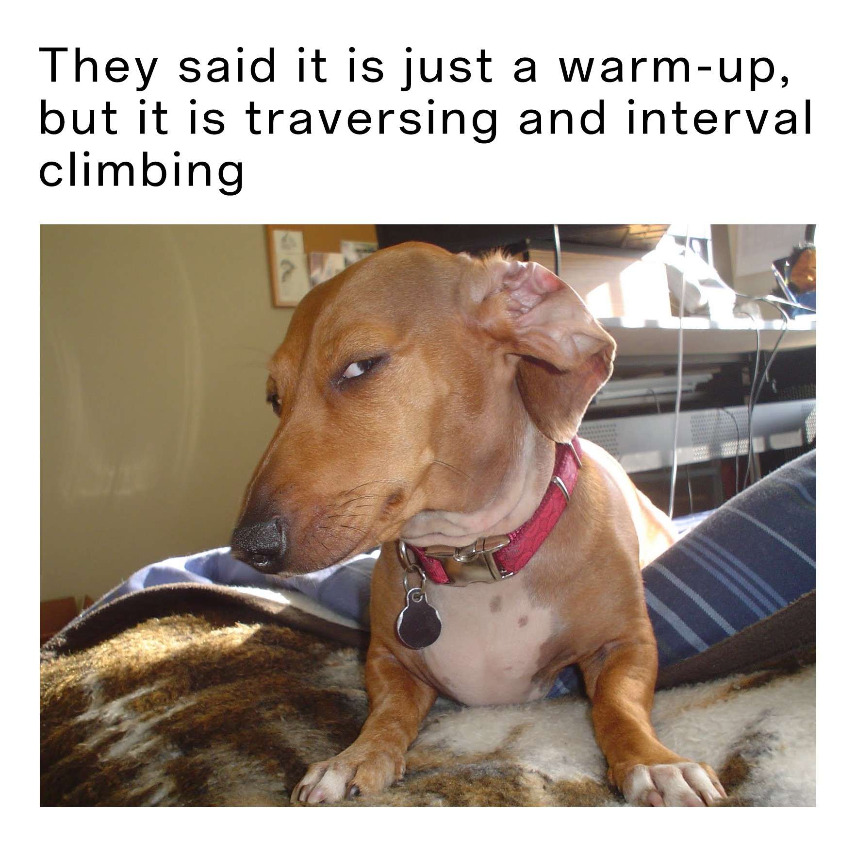 Suspicious Dog meme warm-up turns into interval climbing